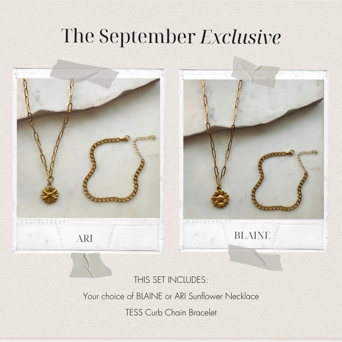 Deal of the Month: September Sunflower Exclusive