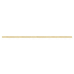 Gold Filled [anklets] Luxe Links