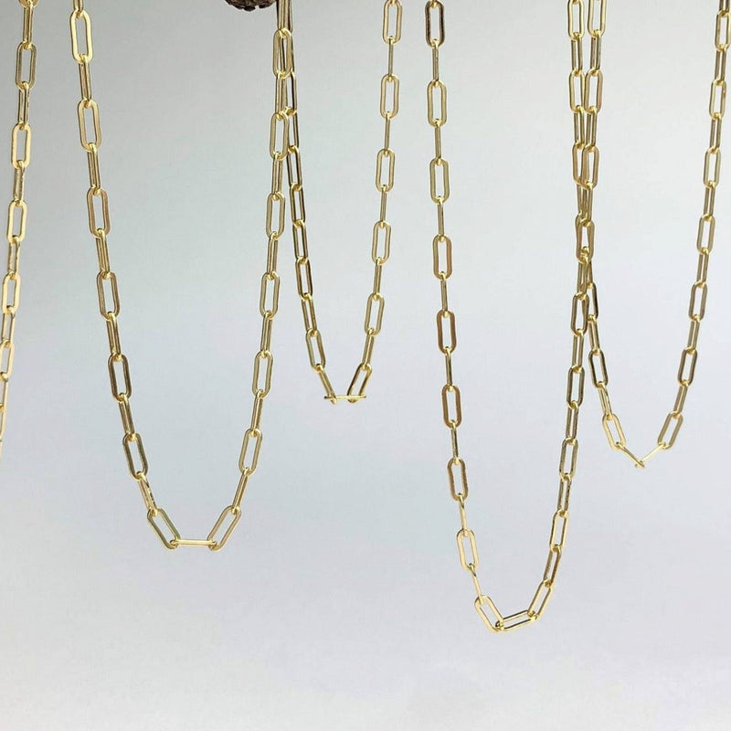 Gold Filled [anklets] Luxe Links