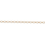 Gold Filled [anklets] Luxe Links