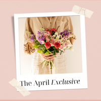 Deal of the Month: April Edition