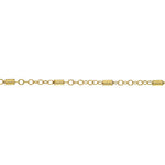 Gold Filled [anklets] Luxe Links