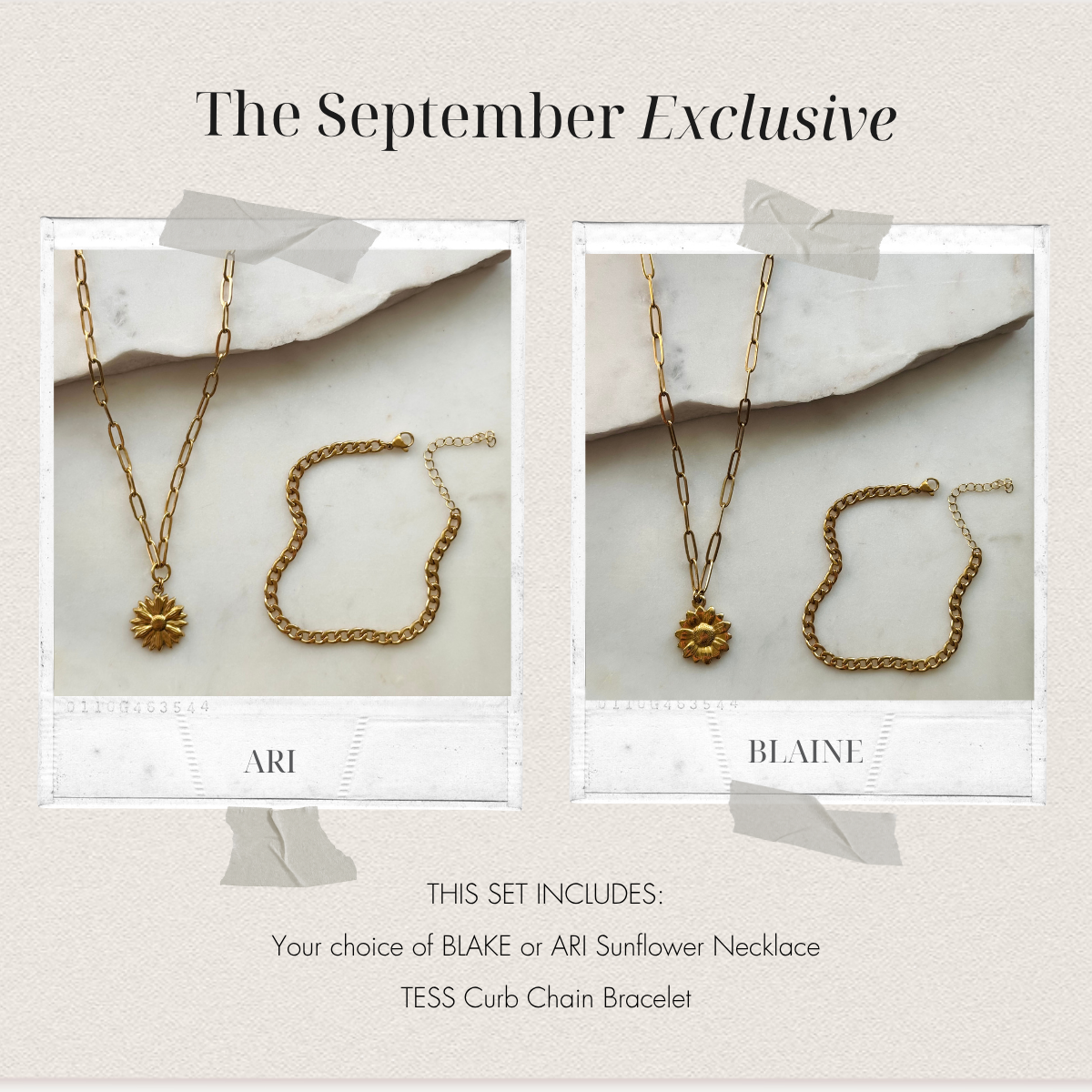 Deal of the Month: September Sunflower Exclusive