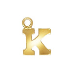 Luxe Links Varsity Initial Charms